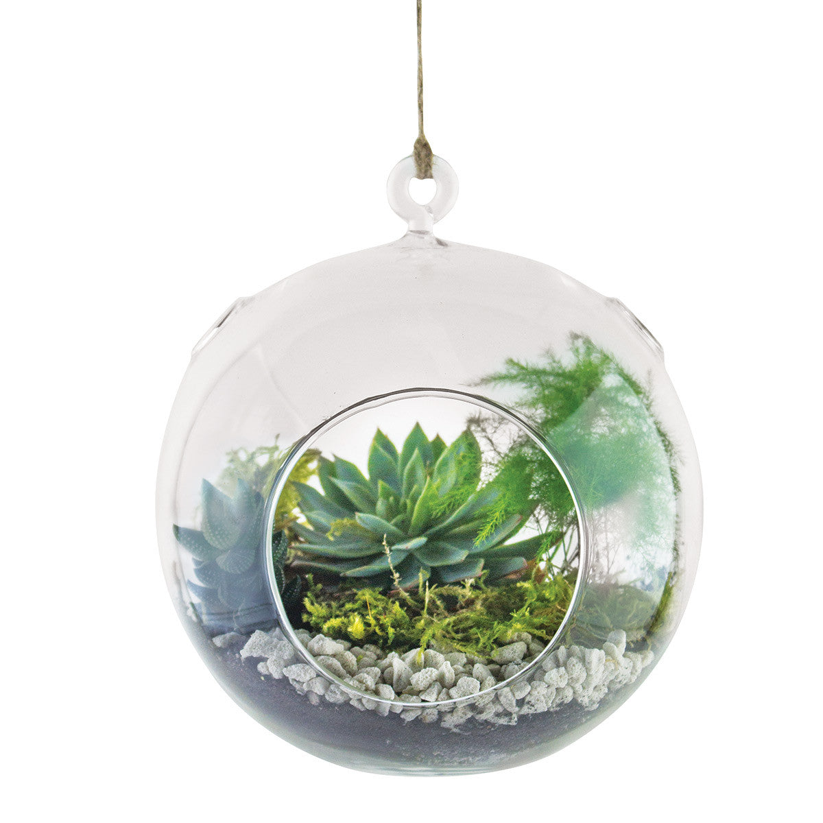 large round hanging terrarium filled with succulents stones and moss on a white background
