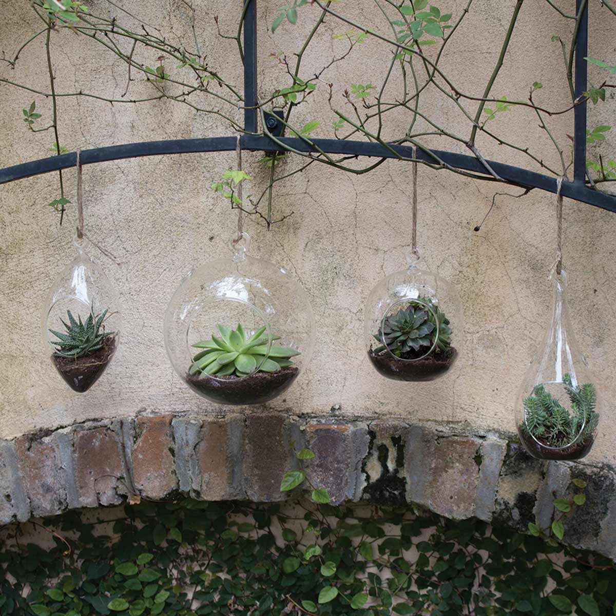 large and medium hanging terrariums filled with succulents hanging outside next to diamond and teardrop hanging terrariums